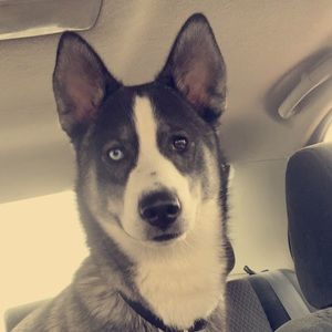 Meet your Posher, Kamryn